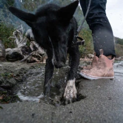 XTRATUF Ladies Waterproof Pink Cream Deck Boots XWAL-400 -Western Cowboy Equipment Store XWAL400 9 EXTRALARGE