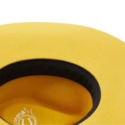 Charlie 1 Horse Yellow Highway Felt Hat CWHIWA-4036YL -Western Cowboy Equipment Store rs 4 48e09437 fd78 4302 9ac4 94dc1be8612b
