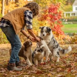 Muck Boot Company Muck Ladies Muckster II Mid Walnut Plaid Waterproof Boots WM2-9PLD -Western Cowboy Equipment Store wm2 9PLD 2